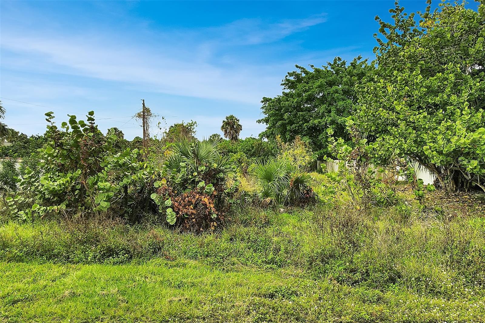 Image 11 of 15 For 4477 Harrington Street