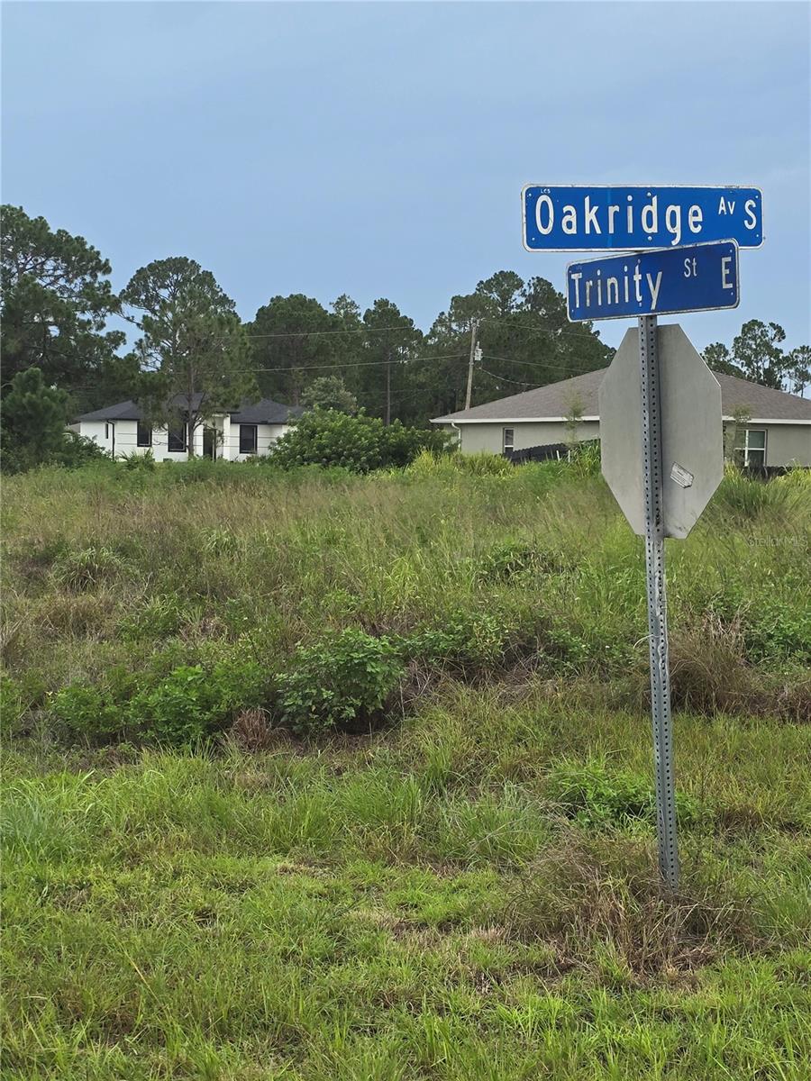 Listing Details for 759 Oakridge Avenue S, LEHIGH ACRES, FL 33974