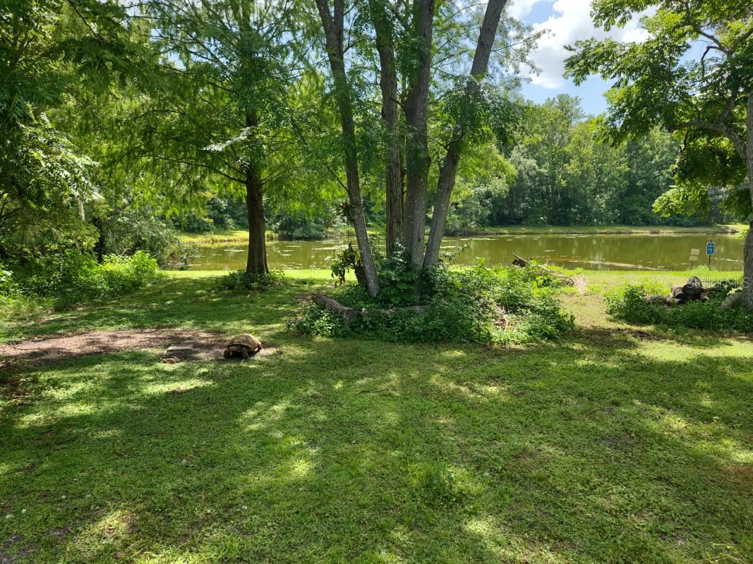 Image 5 of 15 For 1656 Riveredge Road