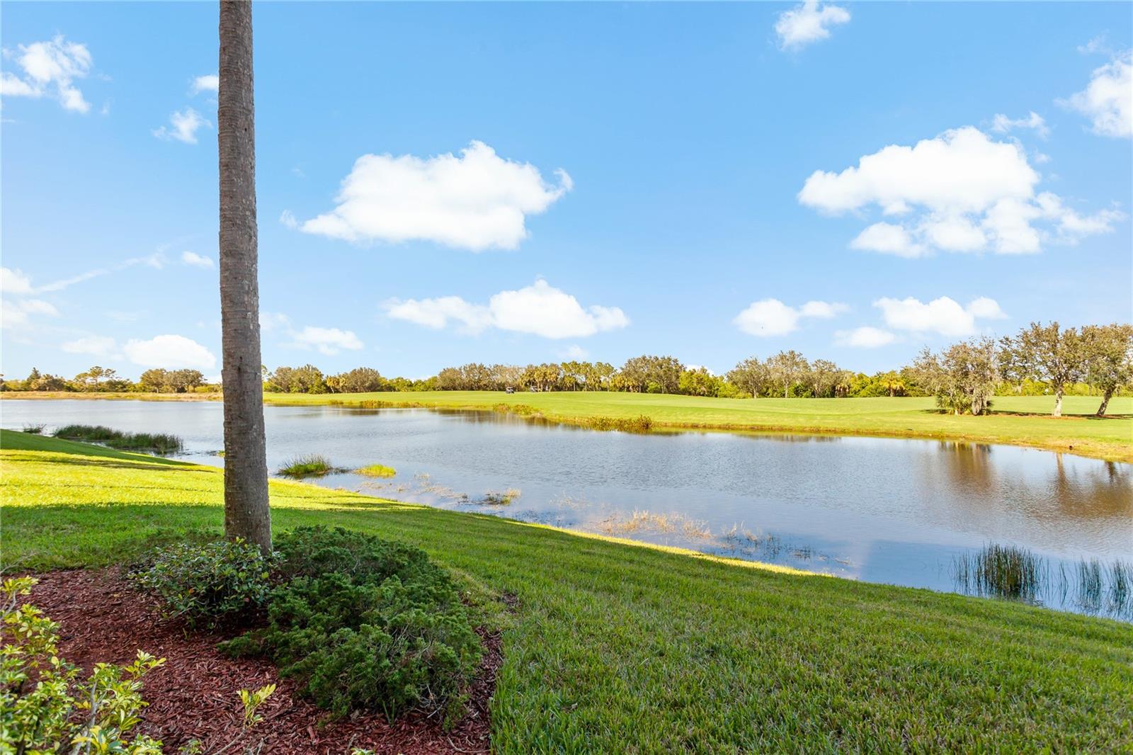 Image 31 of 59 For 7121 River Hammock Drive 102