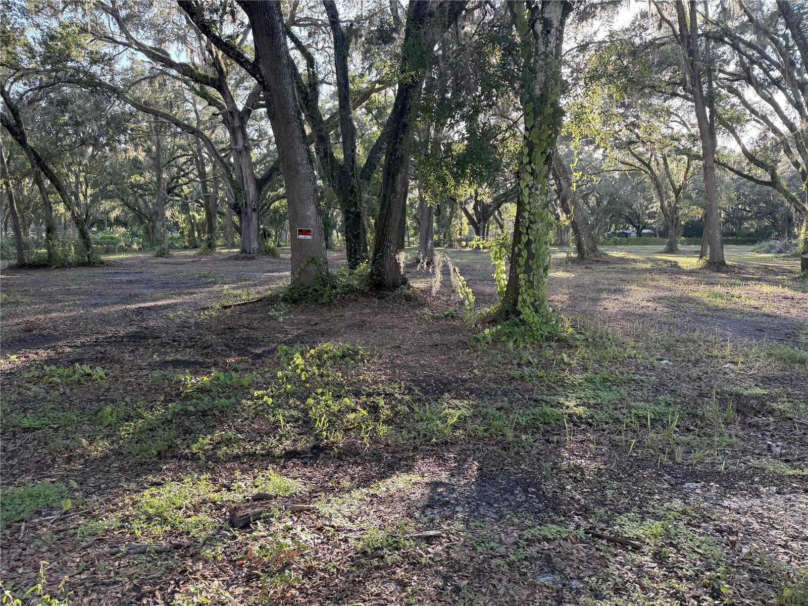 Image 4 of 5 For 4110 Mossy Oak Drive