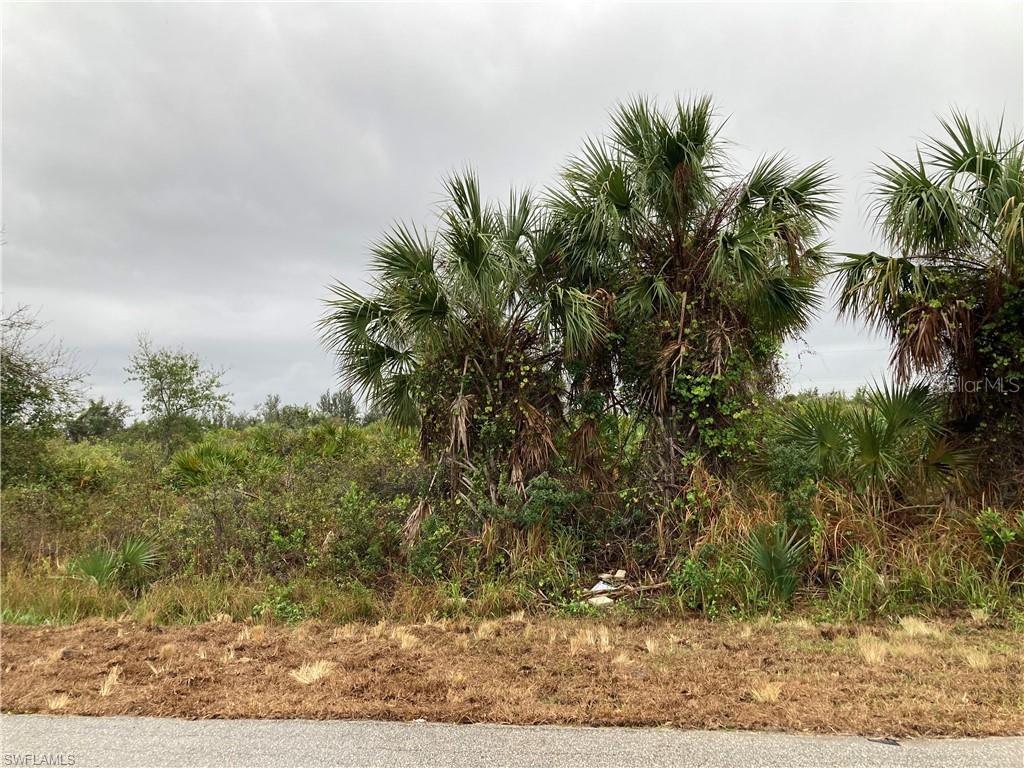 Image 5 of 5 For 13403 High Springs Avenue