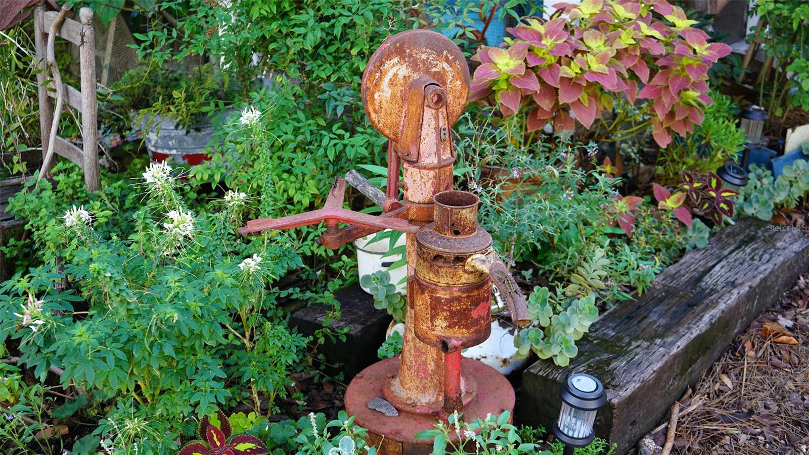 Image 54 of 72 For 1542 Oak Street 102