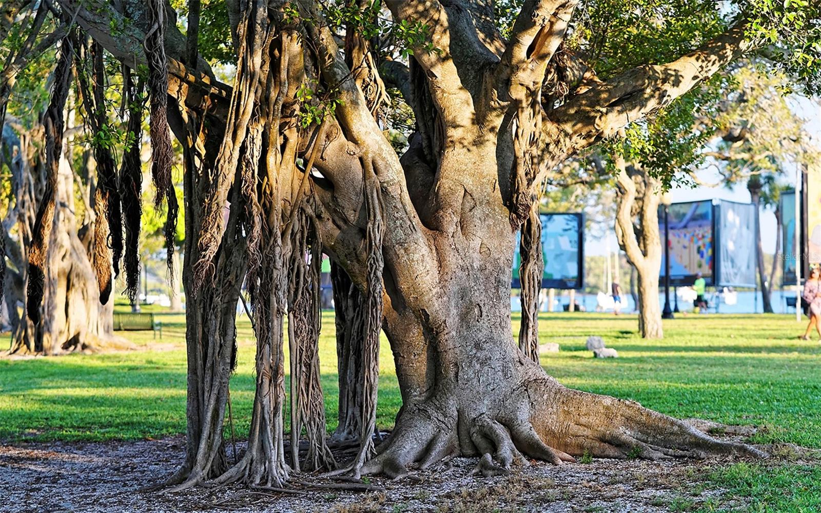 Image 65 of 72 For 1542 Oak Street 102