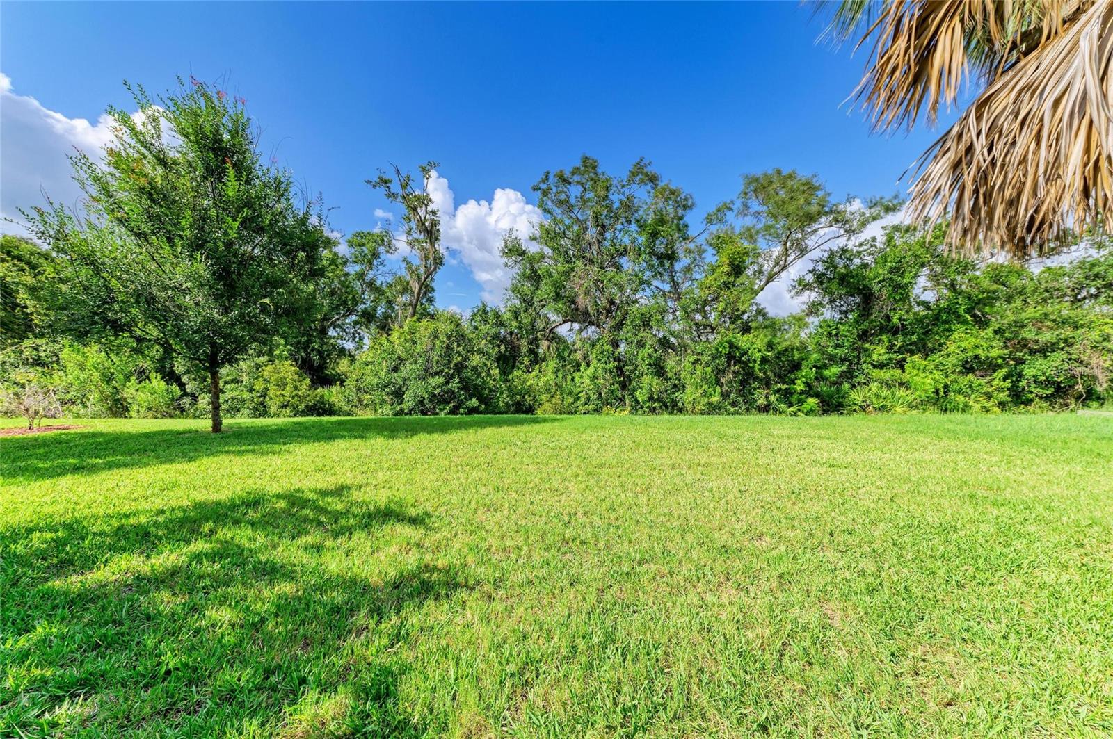 Image 46 of 59 For 5749 Liatris Circle