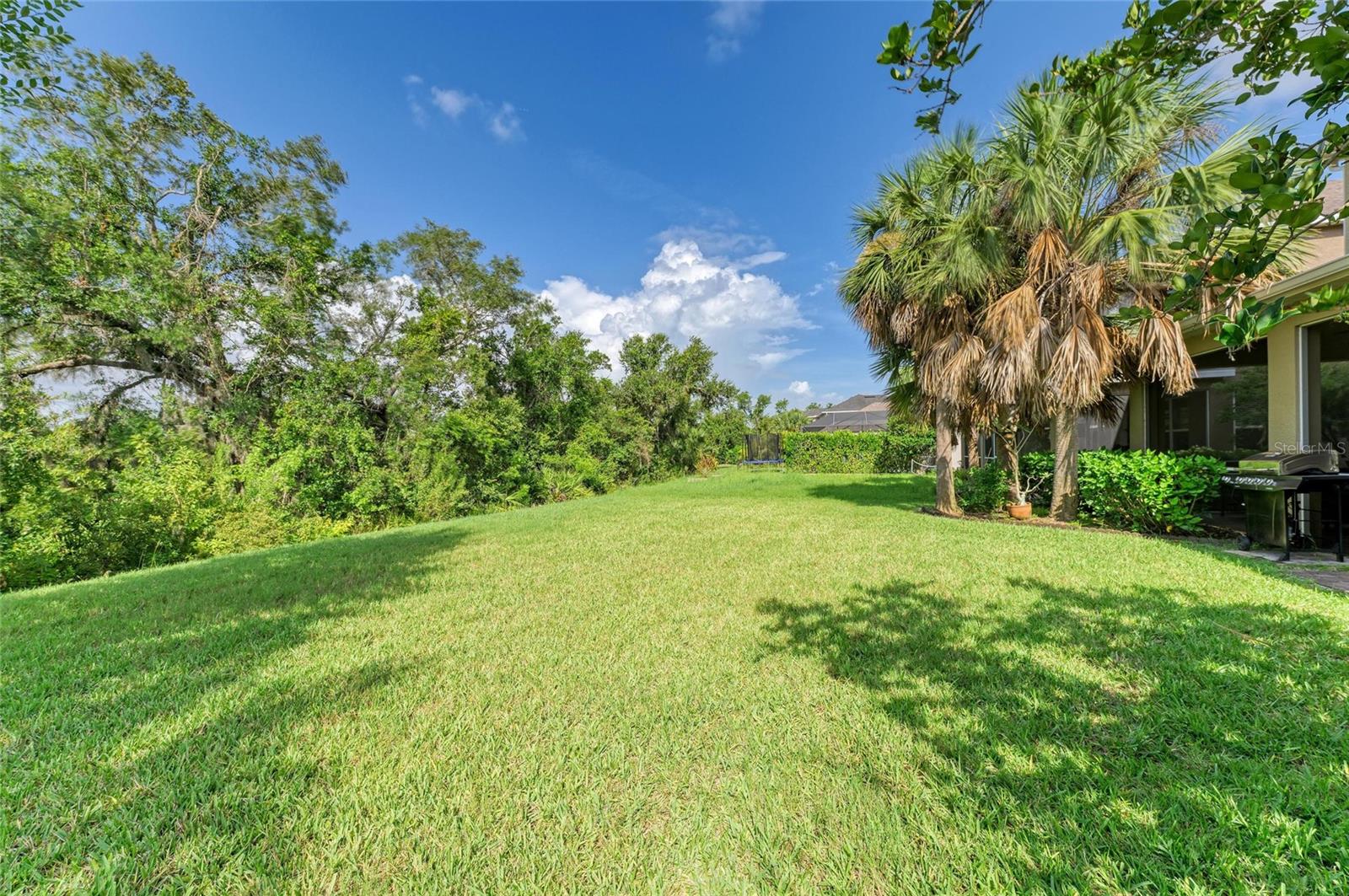 Image 47 of 59 For 5749 Liatris Circle