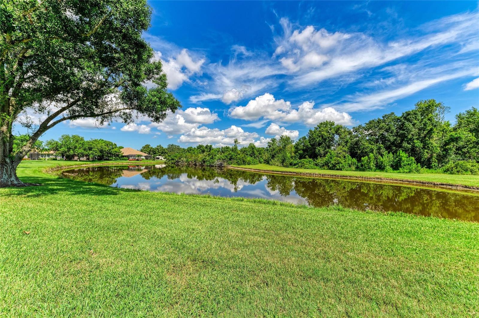 Image 39 of 97 For 7039 Woodmore Terrace