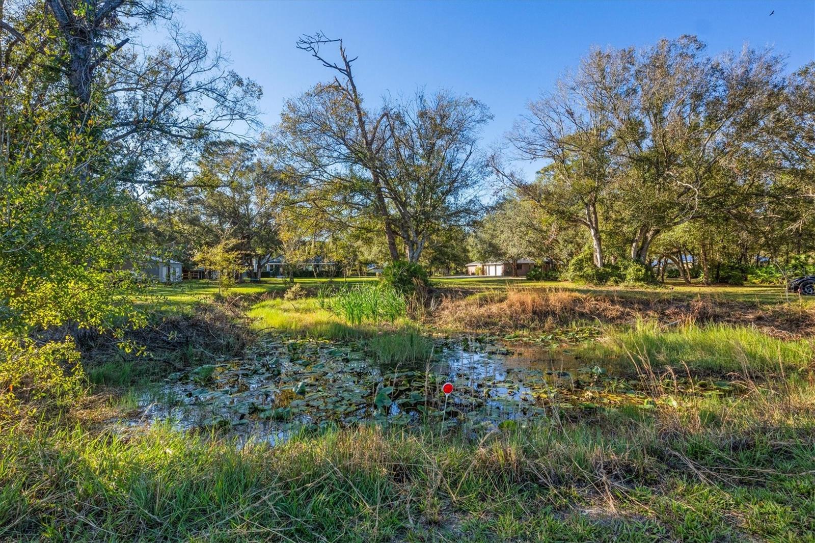 Image 8 of 83 For 1701 Walston Avenue