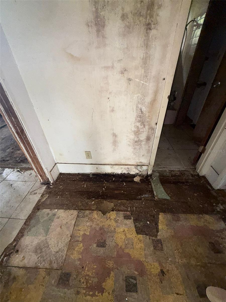 Image 10 of 25 For 617 Duss Street