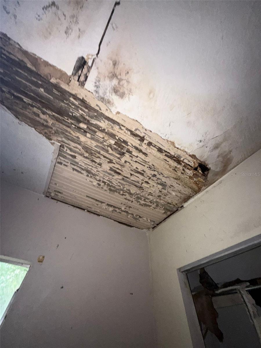 Image 13 of 25 For 617 Duss Street