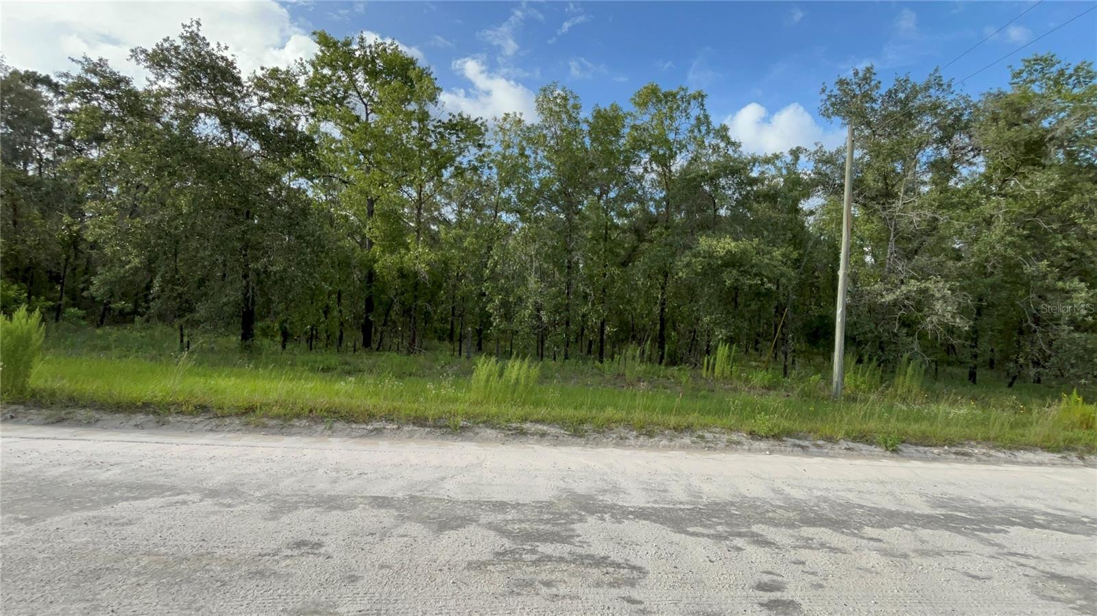 Image 6 of 8 For Tbd County Road 337