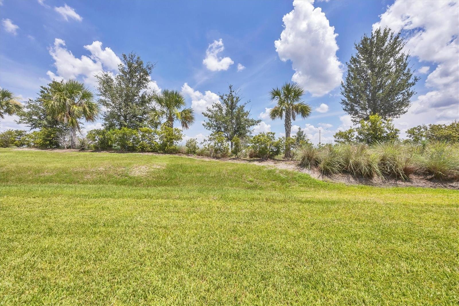 Image 20 of 26 For 10108 Hammock Brook Drive