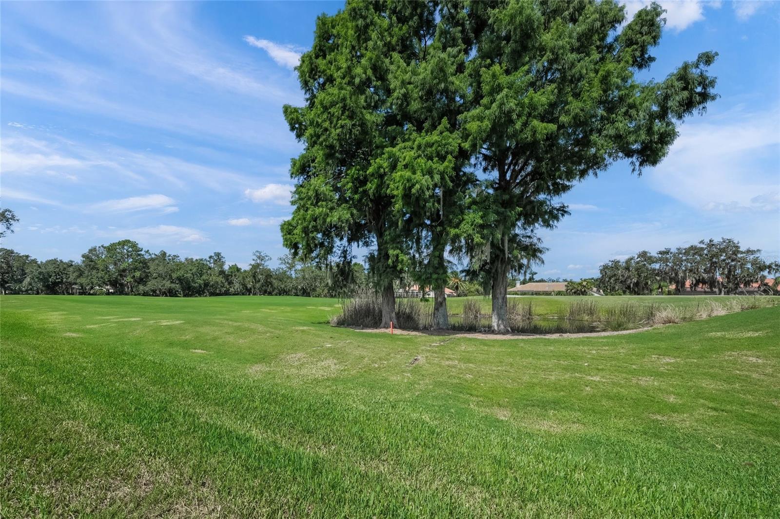 Image 60 of 75 For 2936 Jeff Myers Circle
