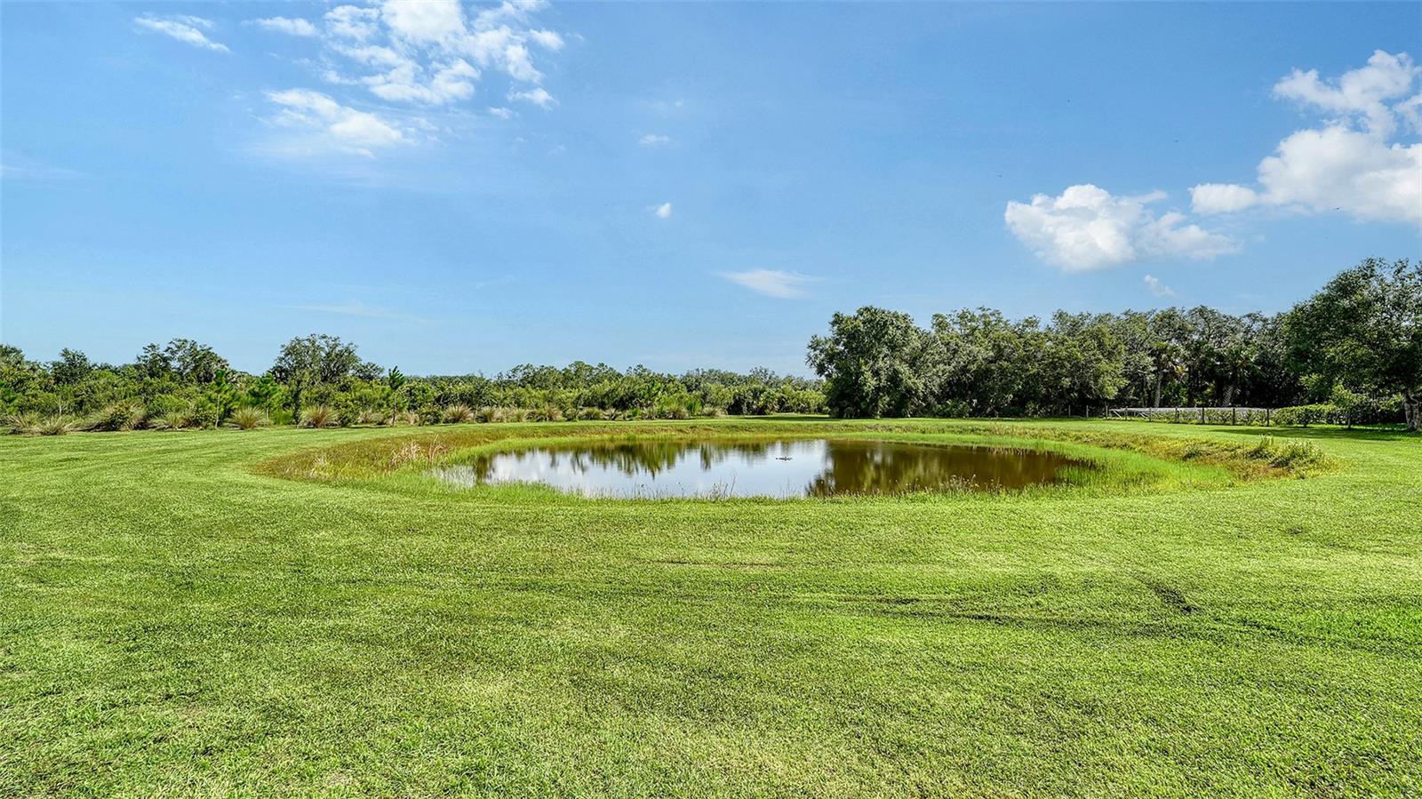 Image 48 of 54 For 10311 Saddle Horse Drive