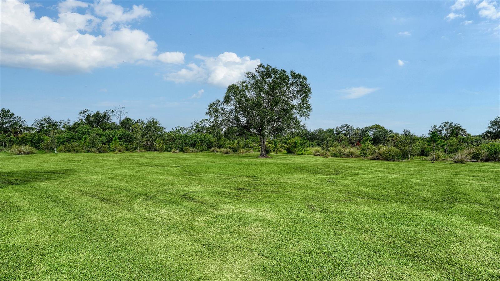 Image 49 of 54 For 10311 Saddle Horse Drive