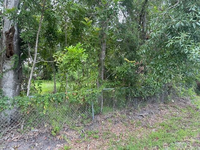 Image 10 of 17 For Brazilnut Avenue