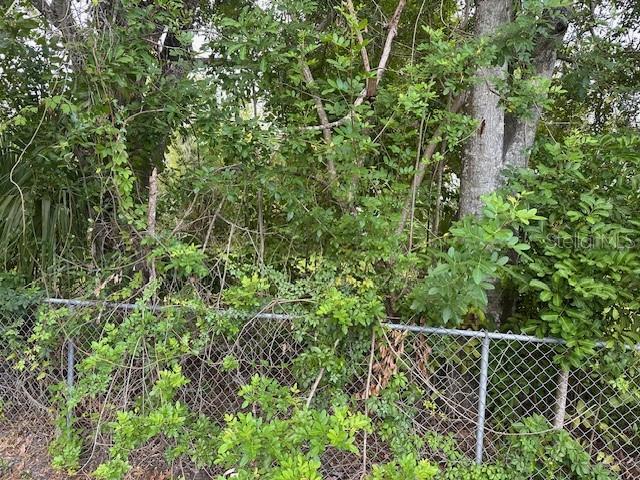 Image 11 of 17 For Brazilnut Avenue