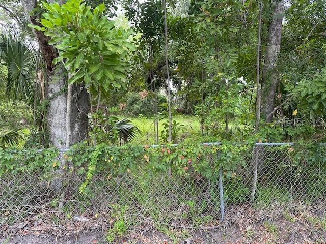 Image 13 of 17 For Brazilnut Avenue