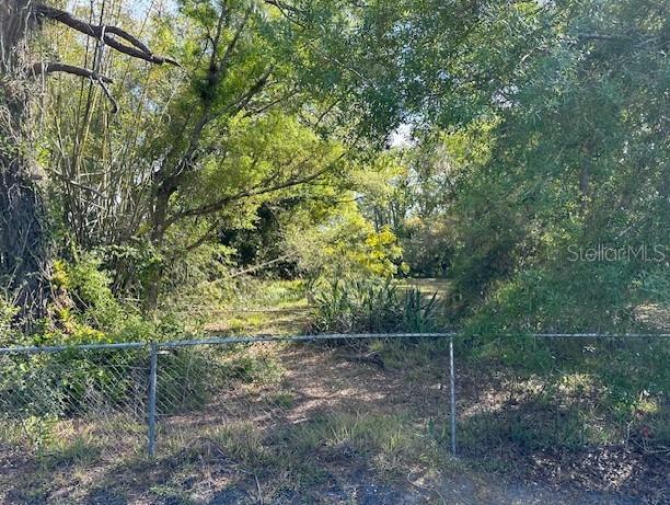 Image 16 of 17 For Brazilnut Avenue