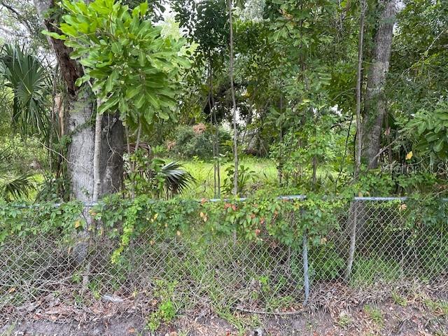 Image 2 of 17 For Brazilnut Avenue