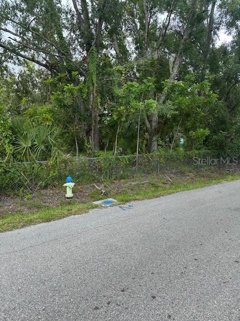 Image 5 of 17 For Brazilnut Avenue
