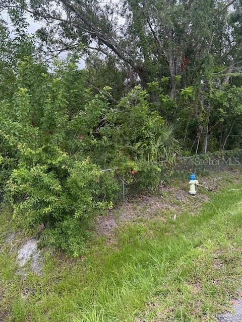 Image 6 of 17 For Brazilnut Avenue
