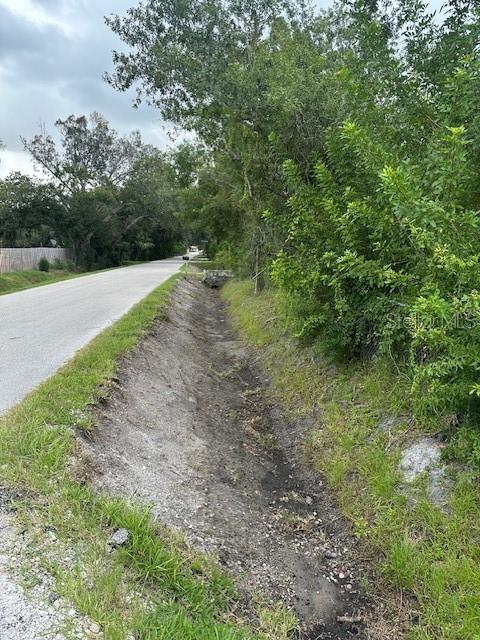 Image 7 of 17 For Brazilnut Avenue