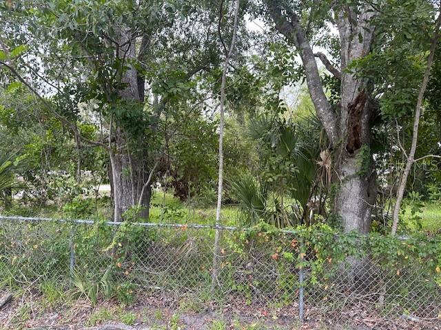 Image 9 of 17 For Brazilnut Avenue