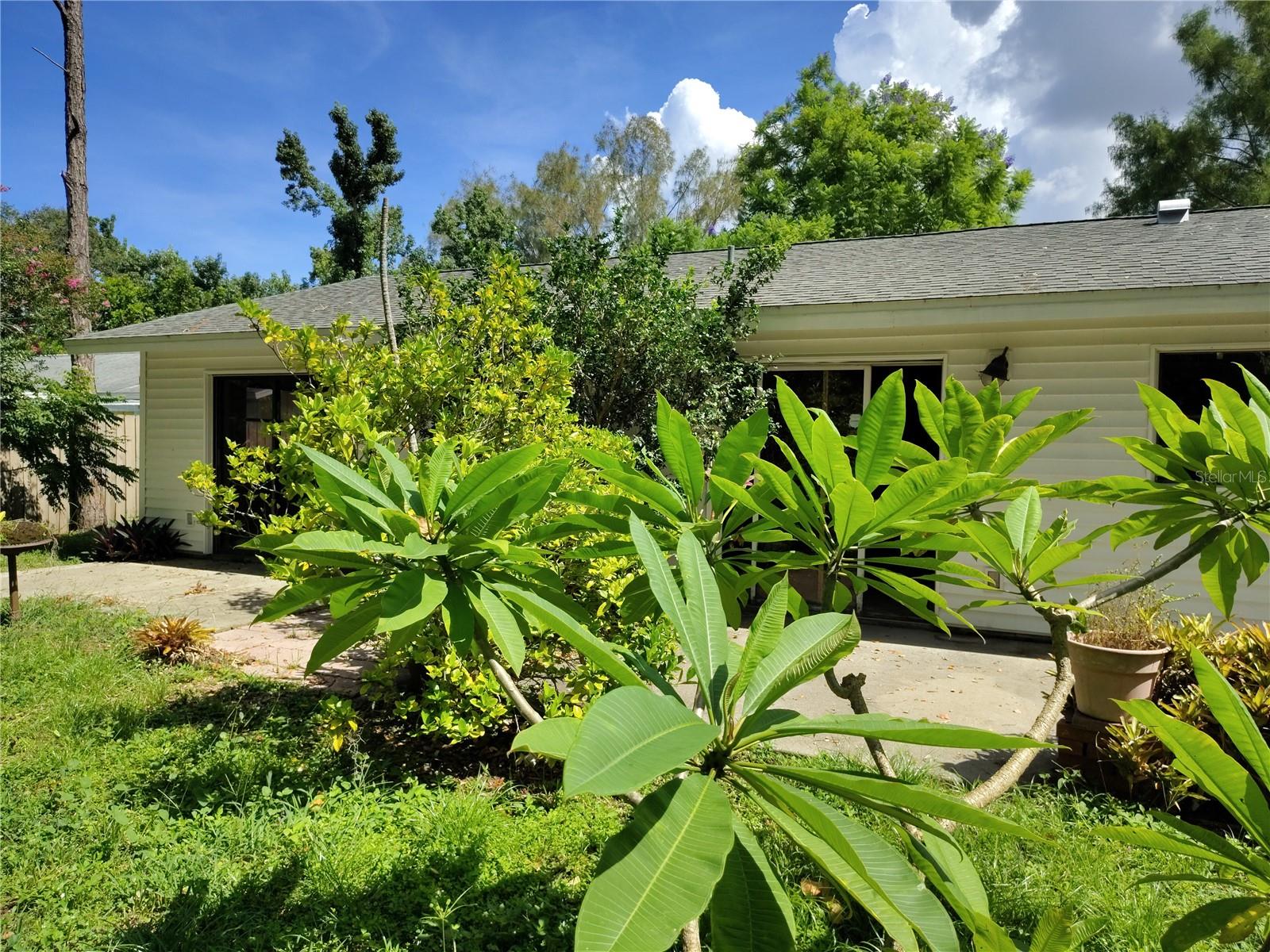 Image 18 of 20 For 3226 Patton Street