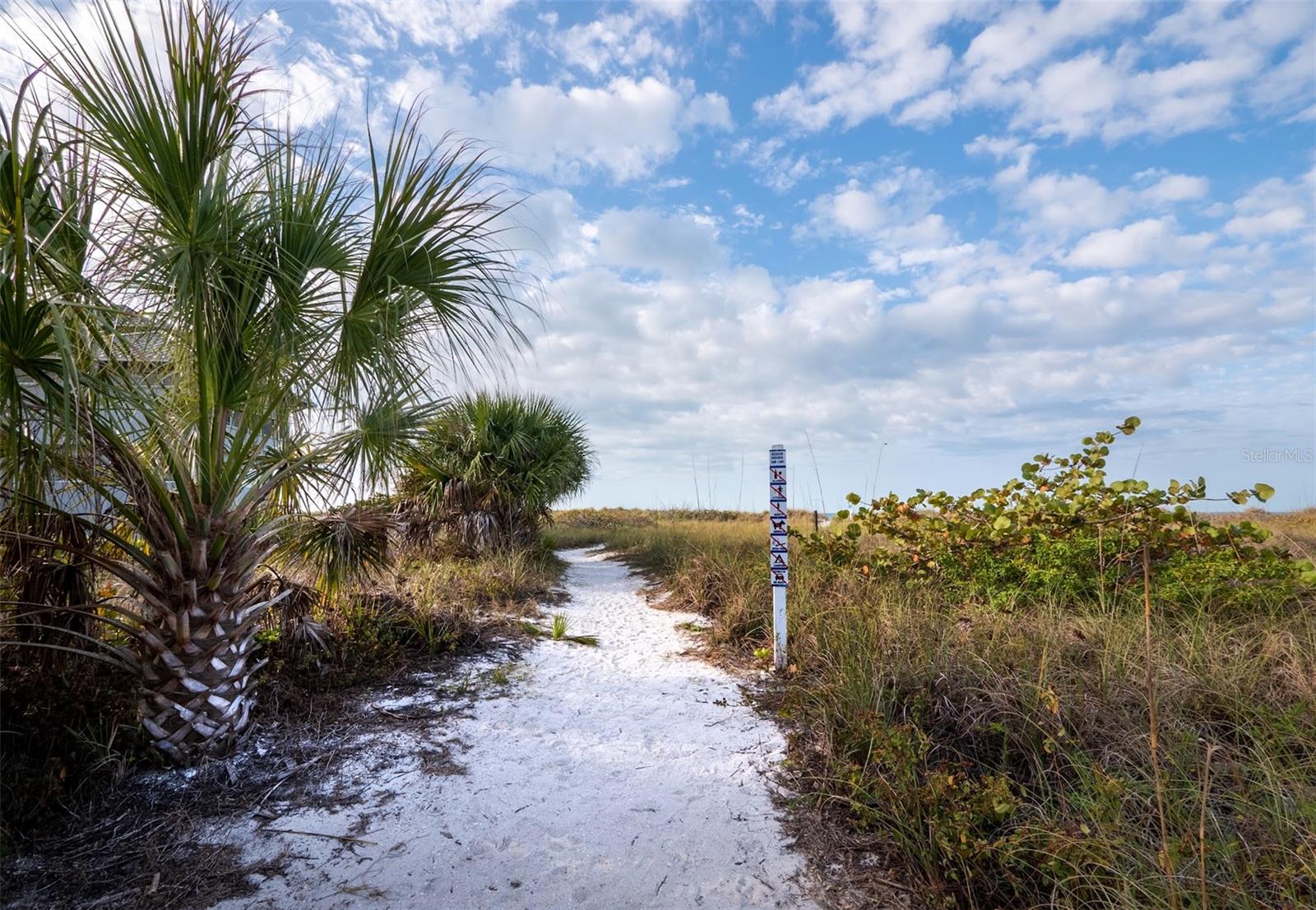 Image 50 of 51 For 6925 Gulf Of Mexico Drive 24