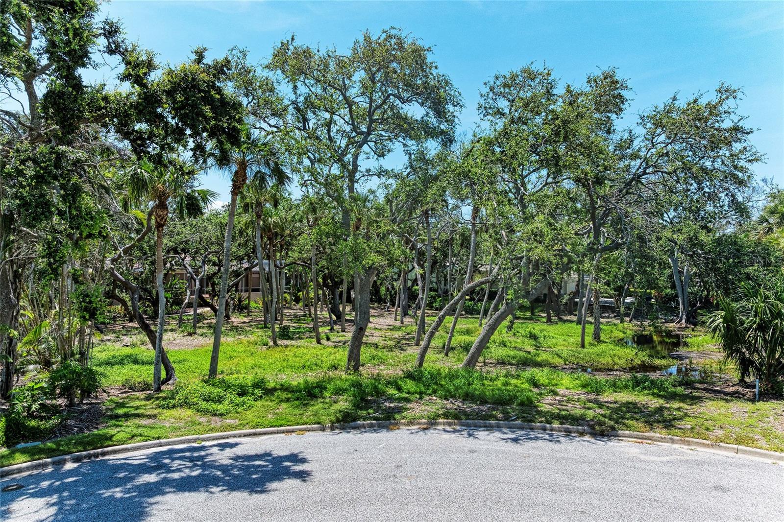 Details for 3341 Sabal Cove Place, LONGBOAT KEY, FL 34228
