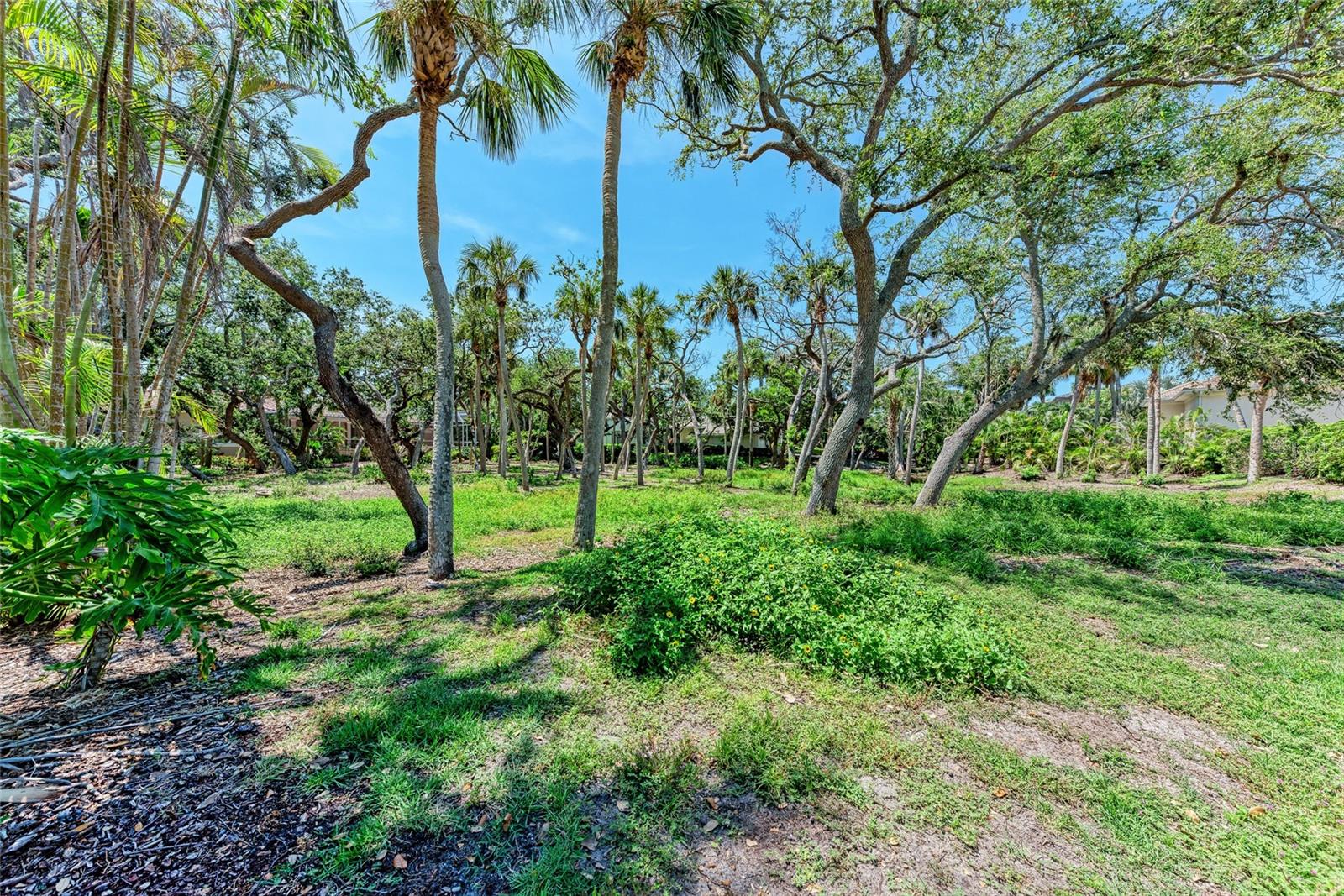 Image 12 of 27 For 3341 Sabal Cove Place