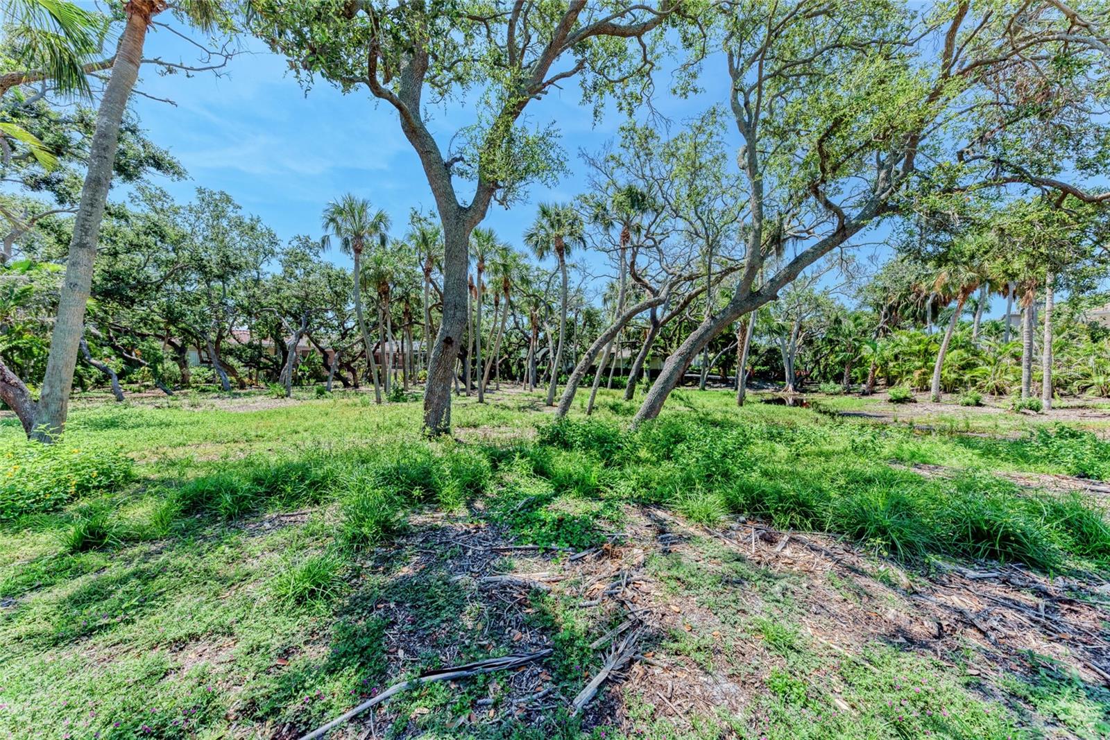 Image 13 of 27 For 3341 Sabal Cove Place