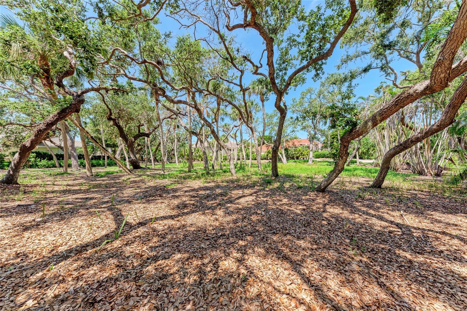 Image 14 of 27 For 3341 Sabal Cove Place
