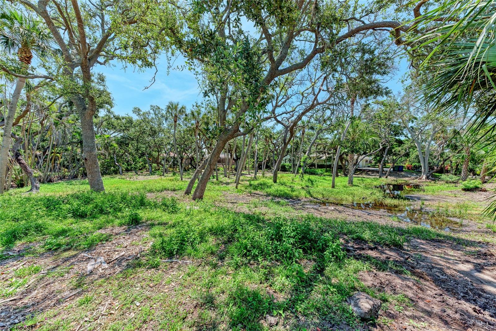 Image 15 of 27 For 3341 Sabal Cove Place