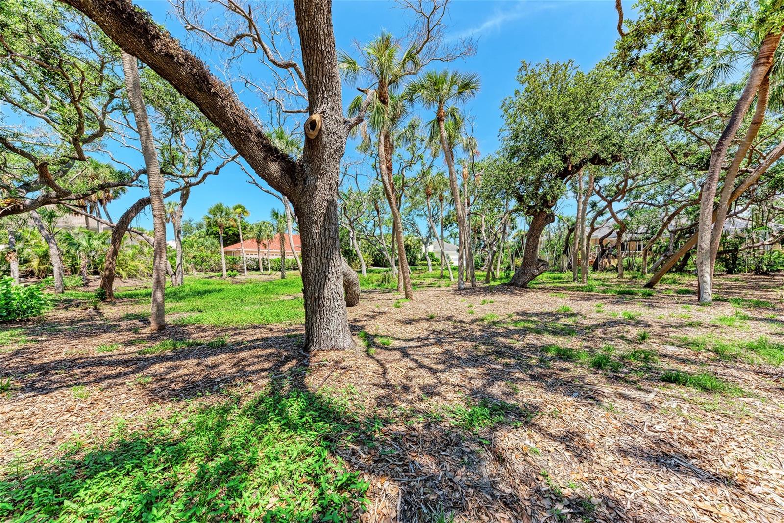 Image 17 of 27 For 3341 Sabal Cove Place