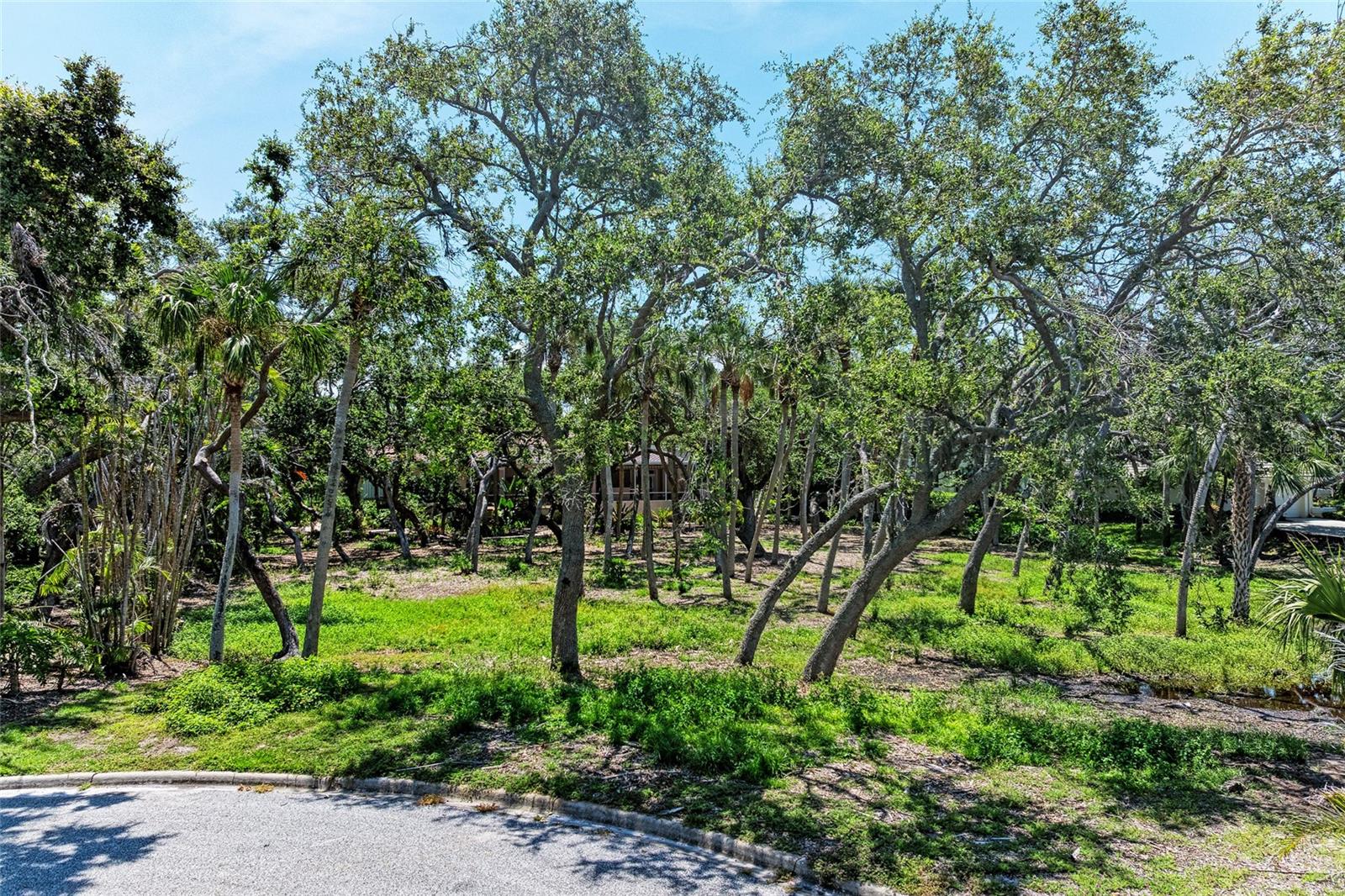 Image 6 of 27 For 3341 Sabal Cove Place