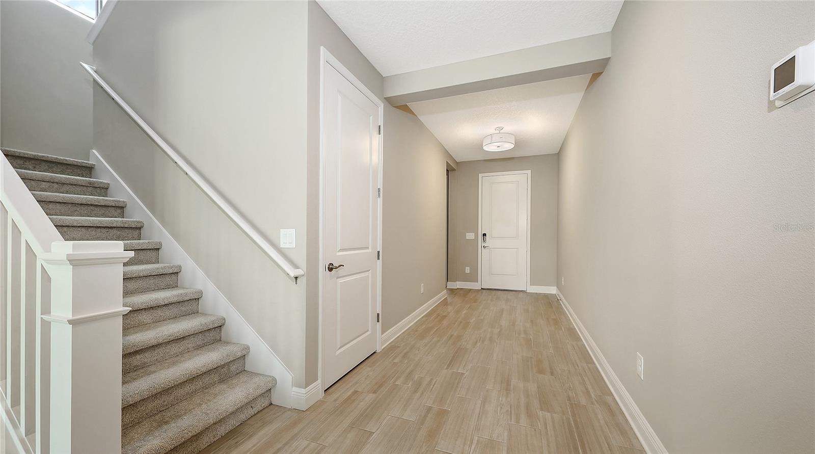 Image 4 of 54 For 2254 Lady Palm Loop