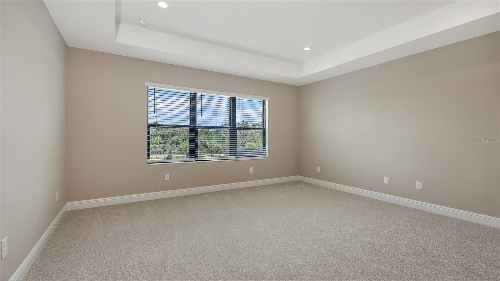 Image 47 of 54 For 2254 Lady Palm Loop