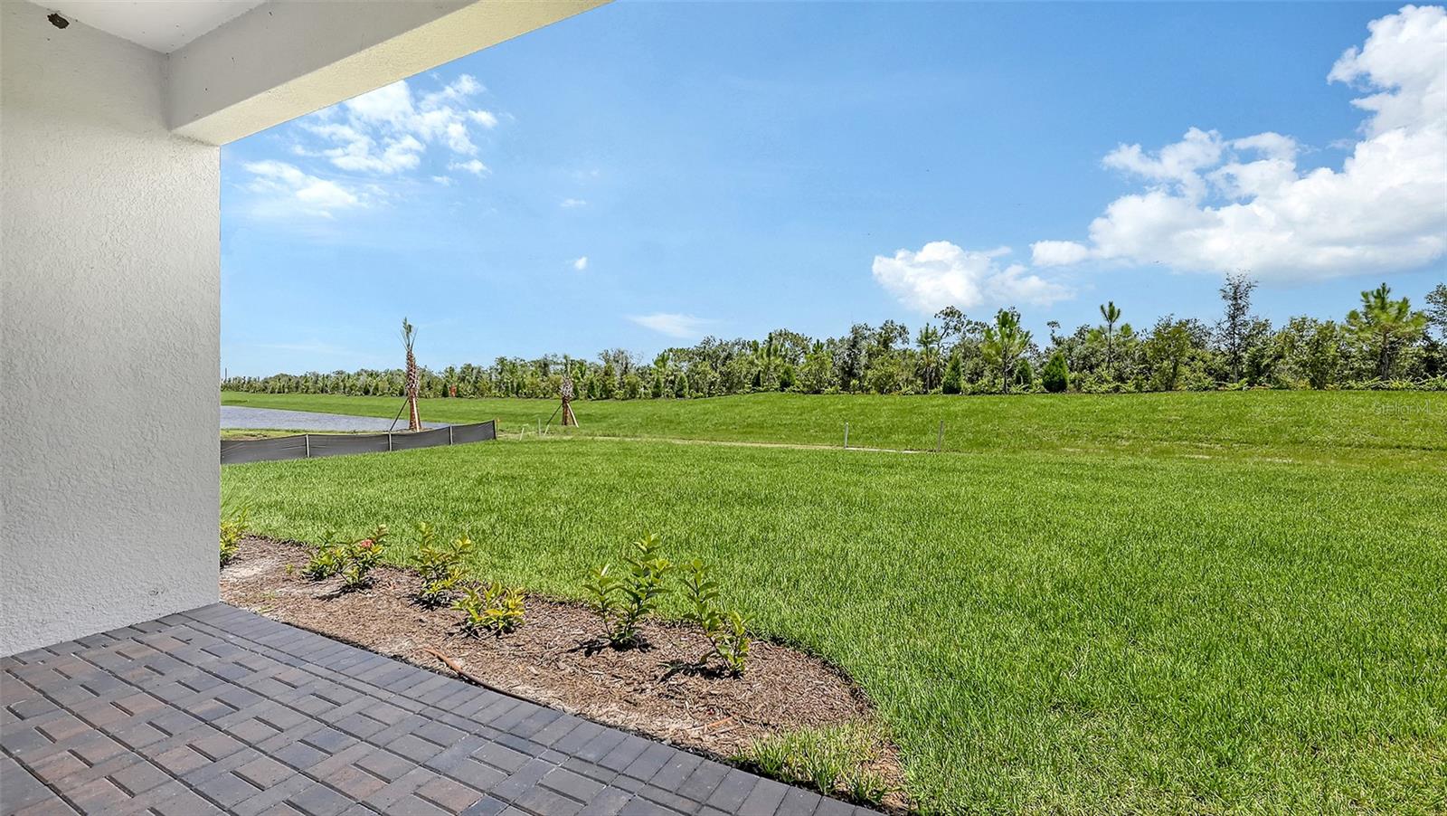 Image 54 of 54 For 2254 Lady Palm Loop