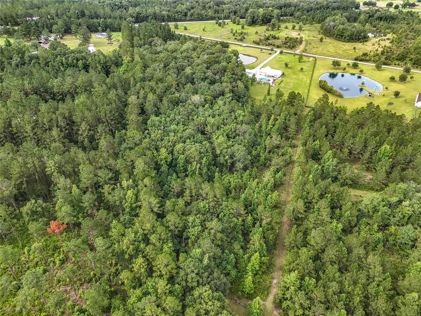 Image 81 of 84 For 55015 Countree Life Way
