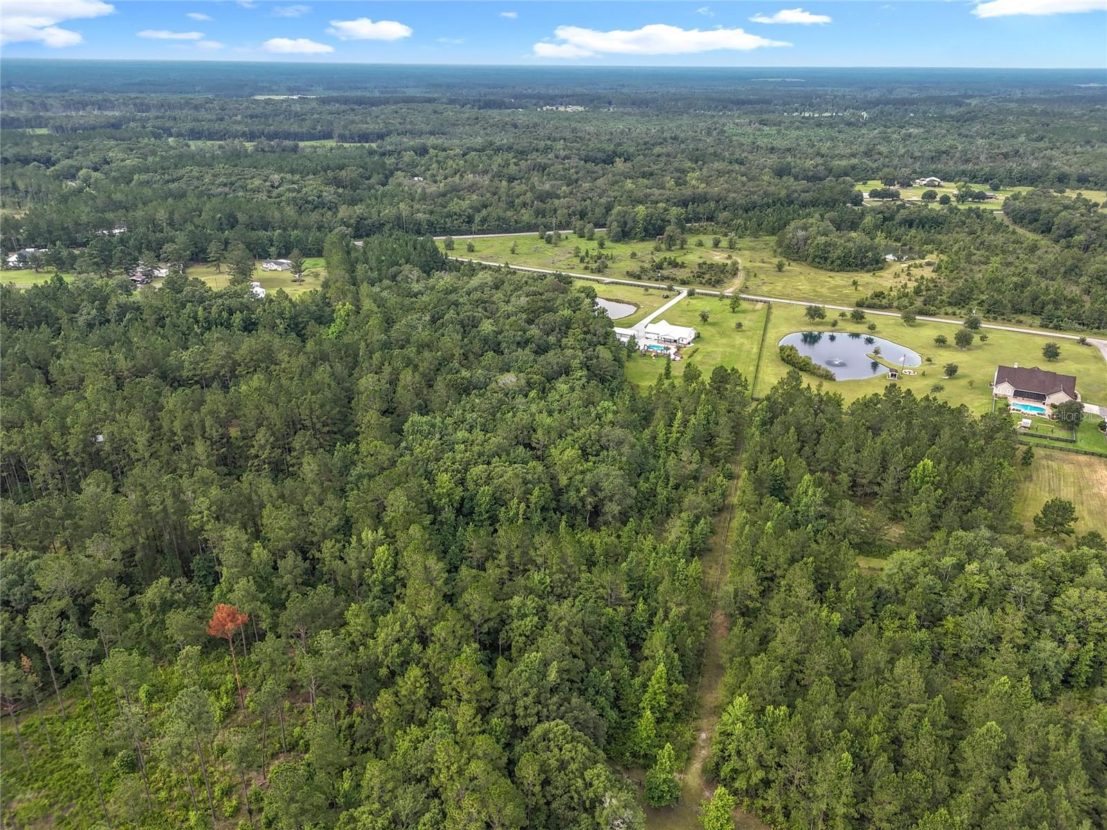 Image 83 of 84 For 55015 Countree Life Way