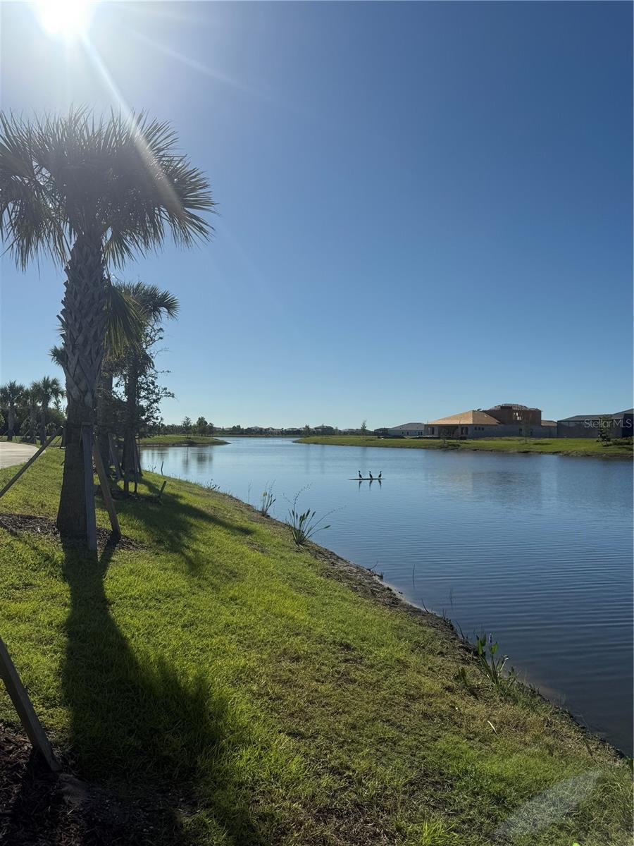 Image 32 of 34 For 10868 Sun Drop Street