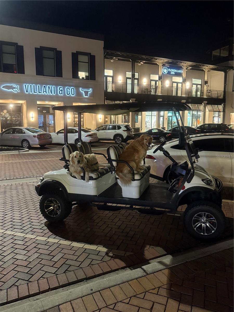 Image 34 of 34 For 10868 Sun Drop Street