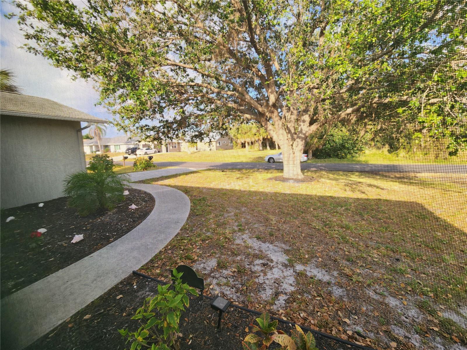 Image 2 of 24 For 1229 Coral Lane