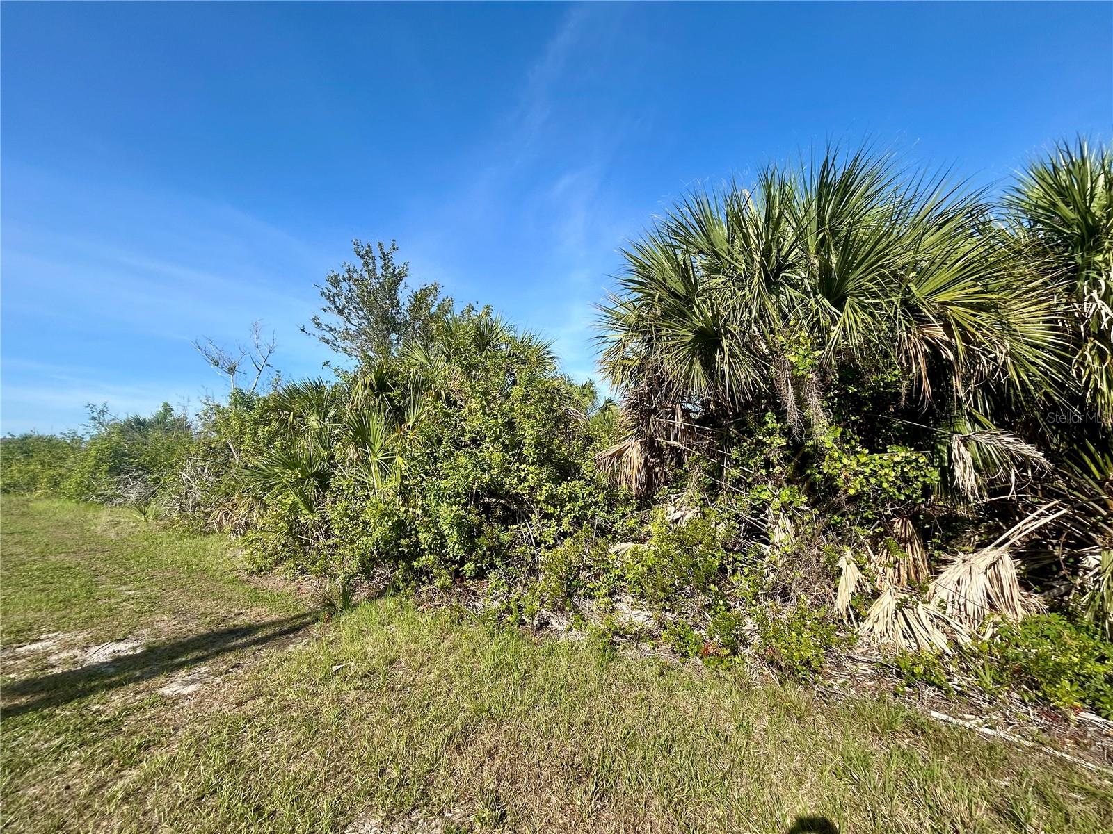 Details for 10047 Alvarez Street, PORT CHARLOTTE, FL 33981