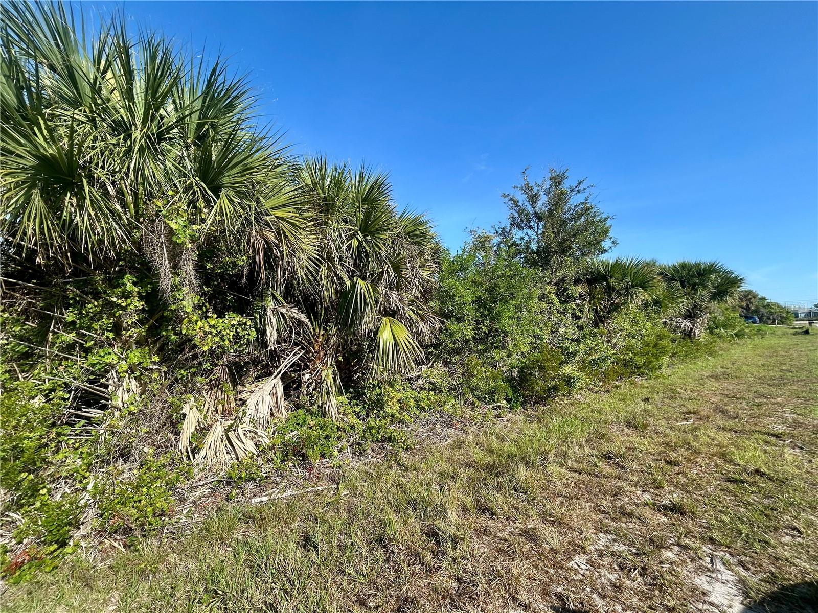 Details for 10039 Alvarez Street, PORT CHARLOTTE, FL 33981
