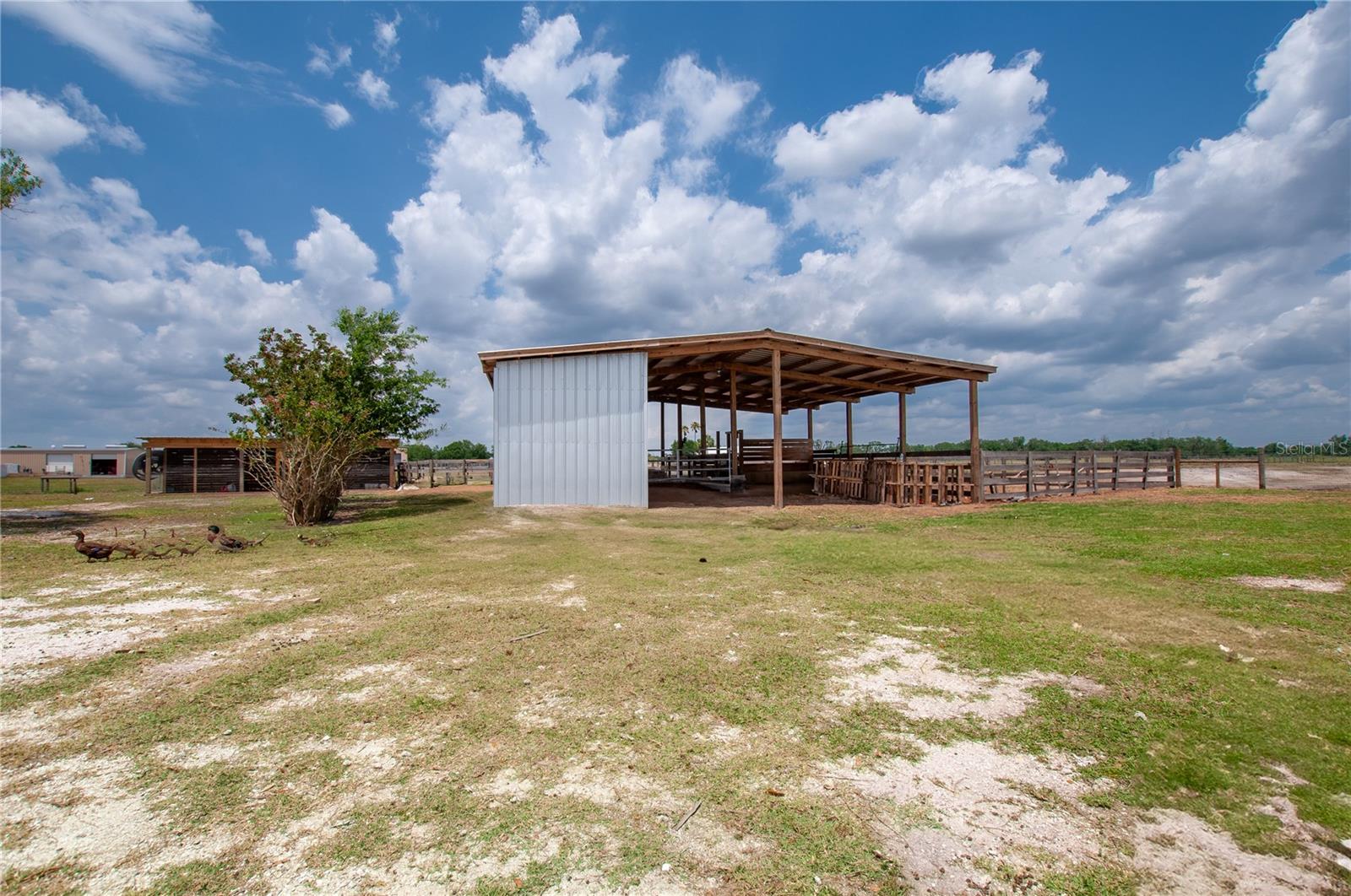 Image 13 of 90 For 2288 Brownville Street