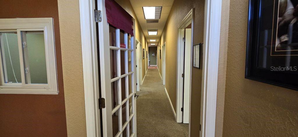 Listing photo id 0 for 13191 Starkey Road 11