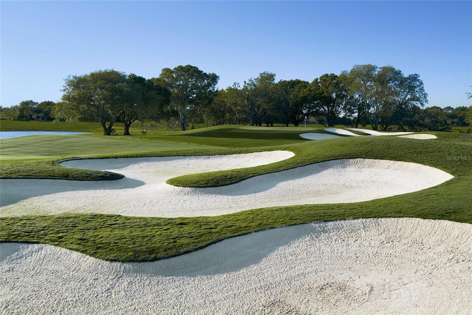 Image 75 of 82 For 3548 Founders Club Drive